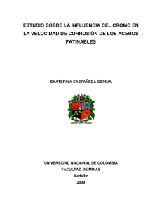 PDF (Contenido) - Universidad Nacional de Colombia