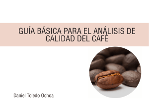 GUÍA BÁSICA PARA EL ANÁLISIS DE CALIDAD DEL CAFÉ