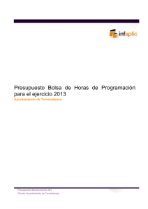 Presupuesto Bolsa de Horas de Programación para el ejercicio 2013