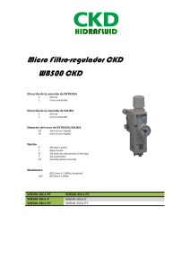 MICRO REGULADOR CKD