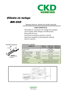 CILINDRO MRL CKD