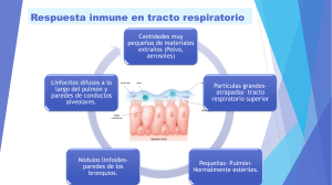 Respuesta-inmune-en-tracto-respiratorio