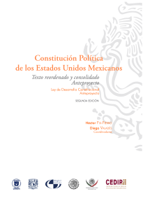 Constitución politica proyecto