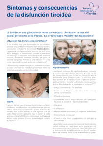 911 010 Patient Leaflet ES 16 02 2010 symptomes and consequences