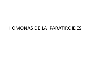 HOMONAS DE LA  PARATIROIDES