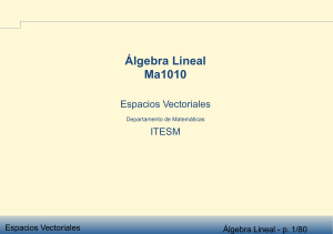 Álgebra Lineal Ma1010 (1)