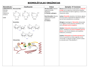 BiomoléculaSWORD