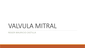 VALVULA MITRAL