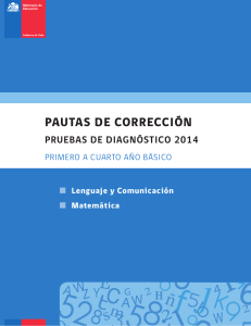 208245178-Pauta-de-Correccion-Diagnostico-2014