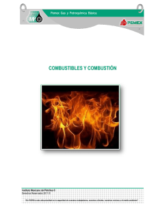 Manual-06-Combustibles-y-Combustion