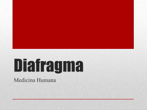 Diafragma