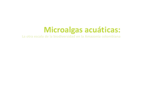 microalgas acuaticas