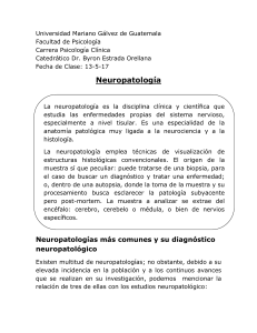 13-5-16 Neuropatologia