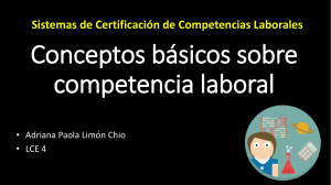 Conceptos básicos sobre competencia laboral