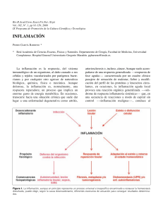 LECTURA COMPLEMENTARIAInflamación 1