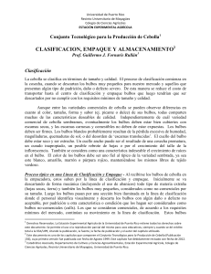 13.-CEBOLLA-CLASIFICACION-EMPAQUE-Y-ALMACENAMIENTO-G.-Fornaris-v2012