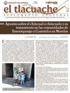 Apuntes sobre el chincual o chincualo y su tratamiento en comunidades de Morelos