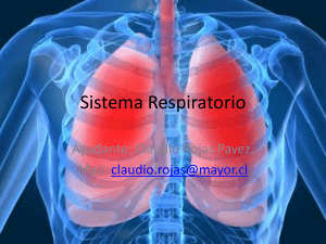 sistemarespiratorio-131121133423-phpapp02