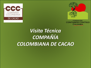 1er visita e informe COMPAÑIA COLOMBIANA DE CACAO