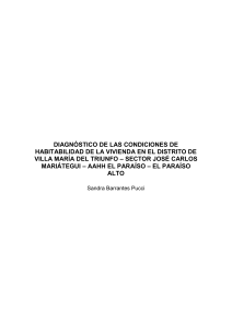 DIAGNÓSTICO DE LAS CONDICIONES DE HABITABILIDAD DE LA VIVIENDA EN EL DISTRITO DE VILLA MARÍA DEL TRIUNFO – SECTOR JOSÉ CARLOS MARIÁTEGUI – AAHH EL PARAÍSO – EL PARAÍSO ALTO 