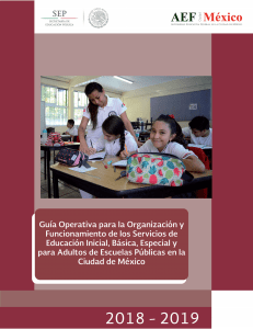 Guía Operativa Escuelas Educación Básica 2018-2019