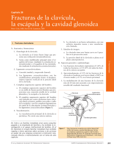 Capítulo 28 Fracturas de la clavícula, la escápula y la cavidad glenoidea Peter Cole, MD; Steven R. Gammon, MD