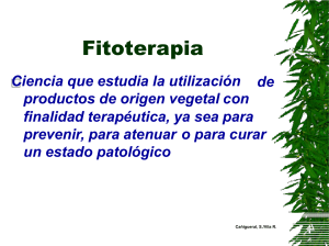 Fitoterapia1