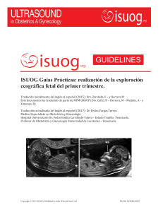 ISUOG Guías prácticas: Realización de la exploración ecográfica fetal del primer trimestre