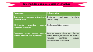 enfermedades sector agrario