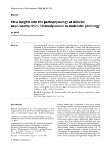 New insights into the pathophysiology of diabetic nephropathy- from haemodynamics to molecular pathology