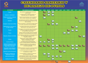 calendario vacunacion de oveja
