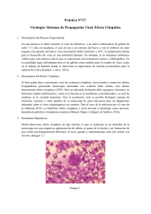 P17 Virología