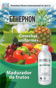 diptico-Ethephon-20-09-17