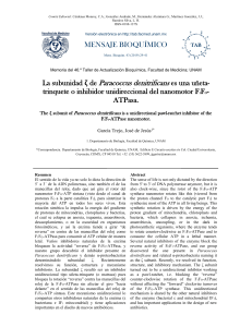 La subunidad ζ de Paracoccus denitrificans es una uñeta-trinquete o inhibidor unidireccional del nanomotor F1FO-ATPasa. José J. García-Trejo. Mensaje Bioquímico UNAM 2019.