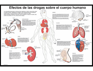 efecto de las drogas