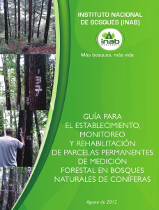 GUIA establecimiento parcelas permanentes medicion forestal coniferas