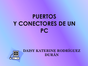 PUERTOS Y CONECTORES DEL PC