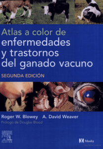 Atlas a Color de Enfermedades y Trastornos del Ganado Vacuno - Blowey & Weaver - 2a Edición (Contiene Páginas Ocultas)