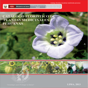 catalogo floristico plantas medicinales