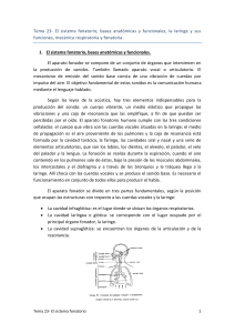 Tema 23 - El sistema fonatorio, bases anatómicas y funcionales, la laringe y sus funciones, mecanica respiratoria y fonatoria