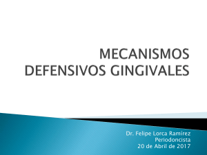 MECANISMO DEFENSIVOS GINGIVALES, DESTRUCCION Y REPARACION PERIODONTAL 20 abr
