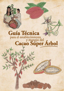 Guia tecnica Cacao 10 2016SACHAGOLD