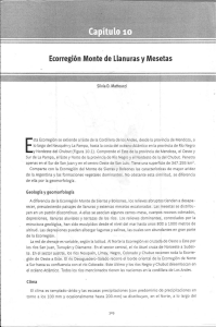 Morello et al 2012 - Ecorregion del Monte txt