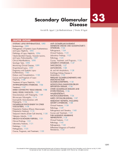Brenner Glomerular disease in rheumatology