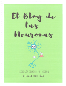 el blog de las neuronas