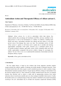 Antioxidant Action and Therapeutic Efficacy of Allium sativum L.