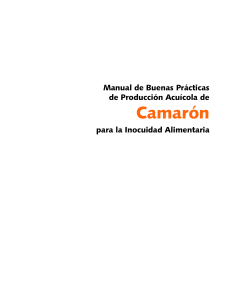 Manual Camarón