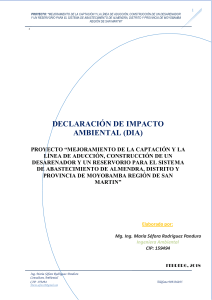 1. DECLARACION DE IMPACTO AMBIENTAL R2