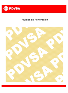 48386229-CIED-PDVSA-Fluidos-de-Perforacion
