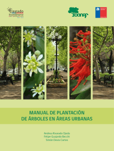 Manual de Plantacion de Arboles en Areas
